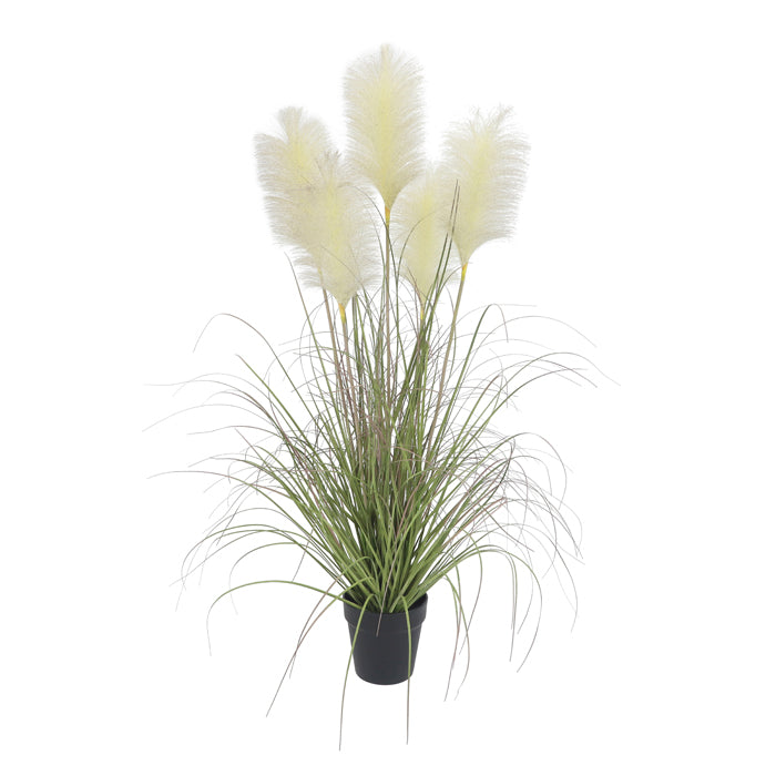 Jonty Potted Pampas Grass - Deb's Hidden Treasures