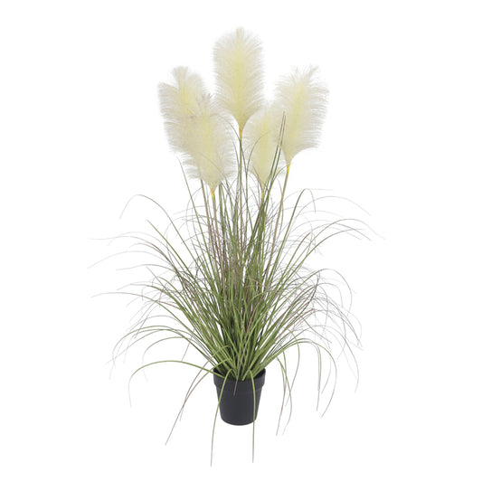Jonty Potted Pampas Grass - Deb's Hidden Treasures