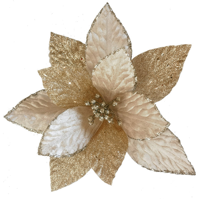 Clip-On Poinsettia - Champagne Coral Point