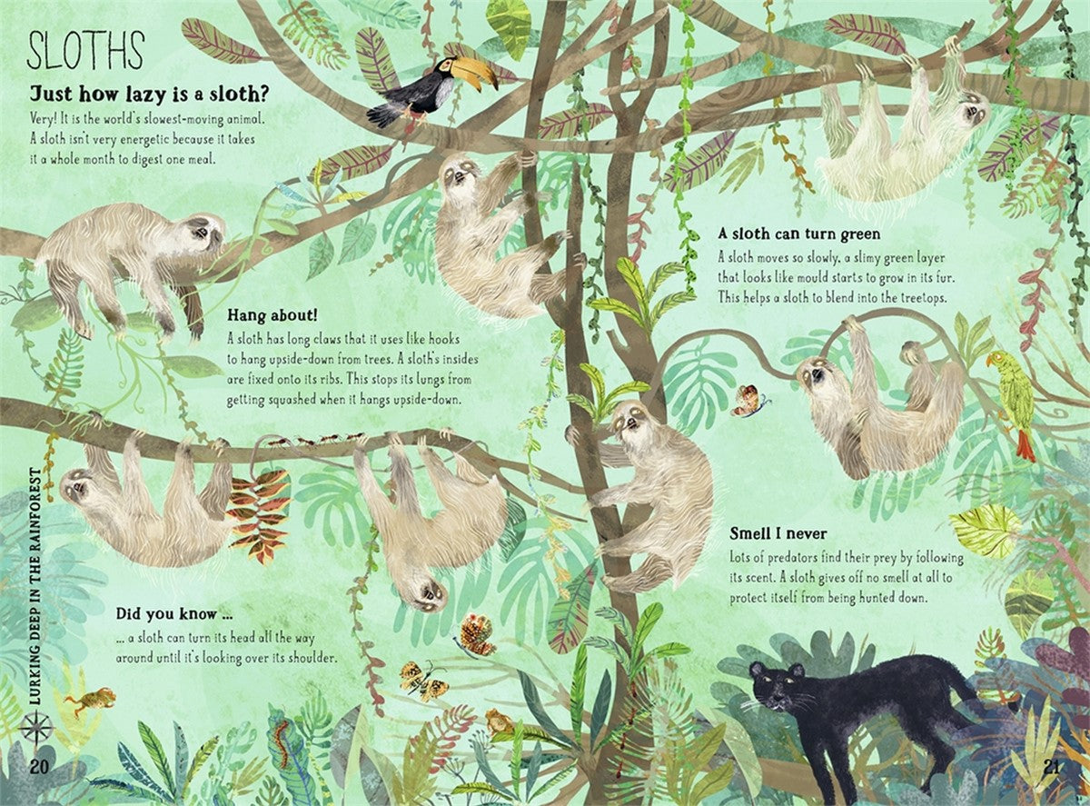 The Big Book of Beasts - Deb's Hidden Treasures