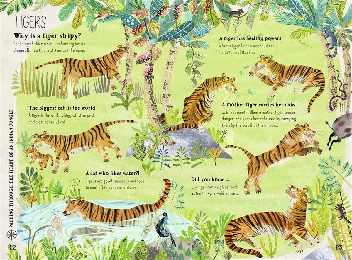 The Big Book of Beasts - Deb's Hidden Treasures