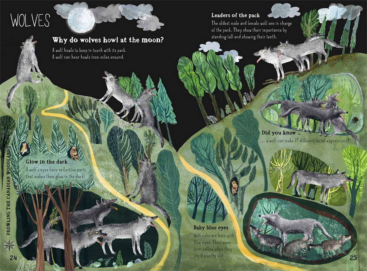 The Big Book of Beasts - Deb's Hidden Treasures