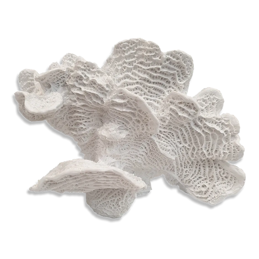 Faux Foliose Coral Sculpture - White