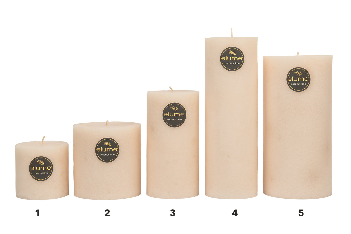 Coconut Lime Pillar Candle - Deb's Hidden Treasures