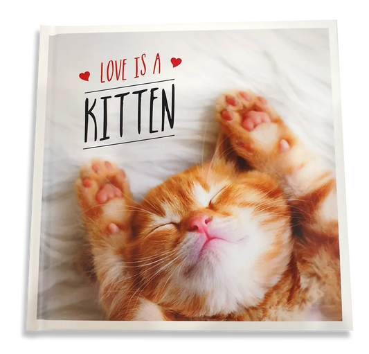 Love is a Kitten: A Cat-Tastic Celebration of the World's Cutest Kittens