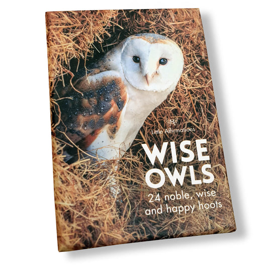 Little Affirmations - Wise Owls