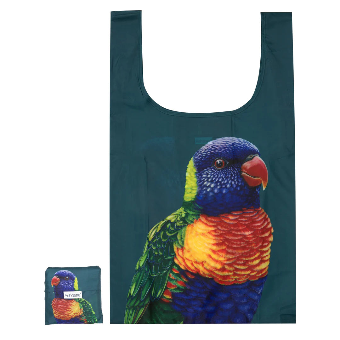 Modern Birds Rainbow Lorikeet Reusable Shopping Bag - Deb's Hidden Treasures