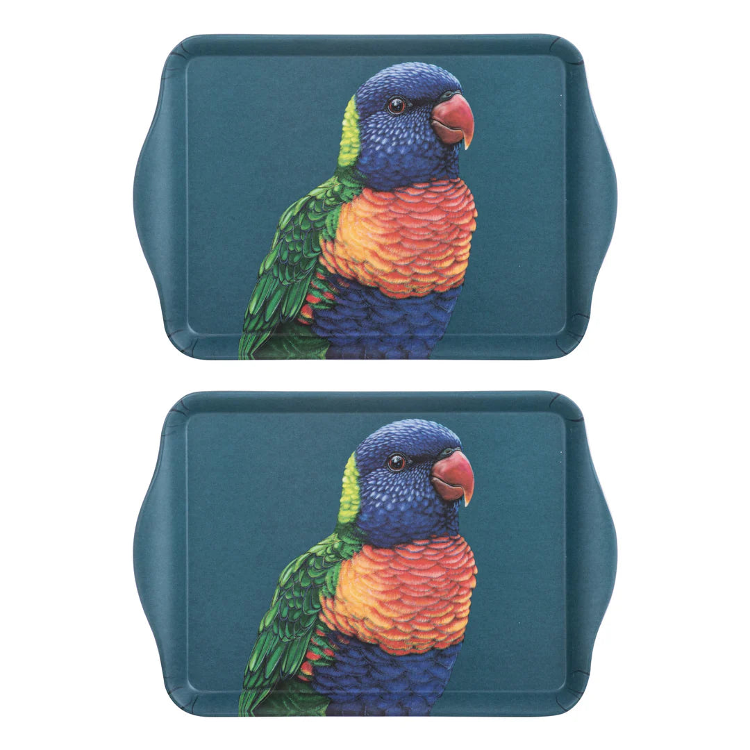 Modern Birds Rainbow Lorikeet 2pk Scatter Tray - Deb's Hidden Treasures