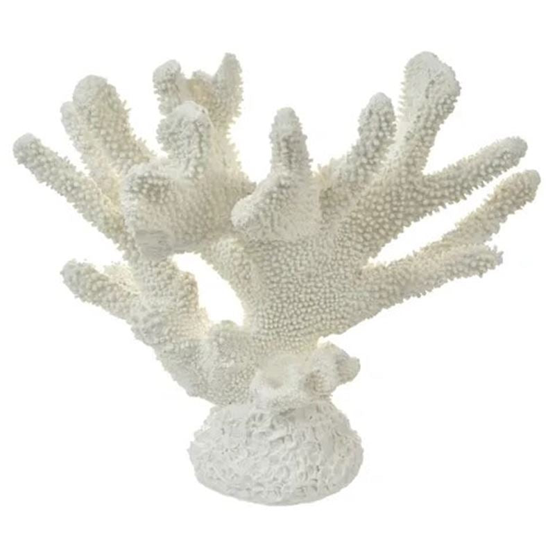 White Resin Anemone Coral - Various Sizes - Coast to Coast