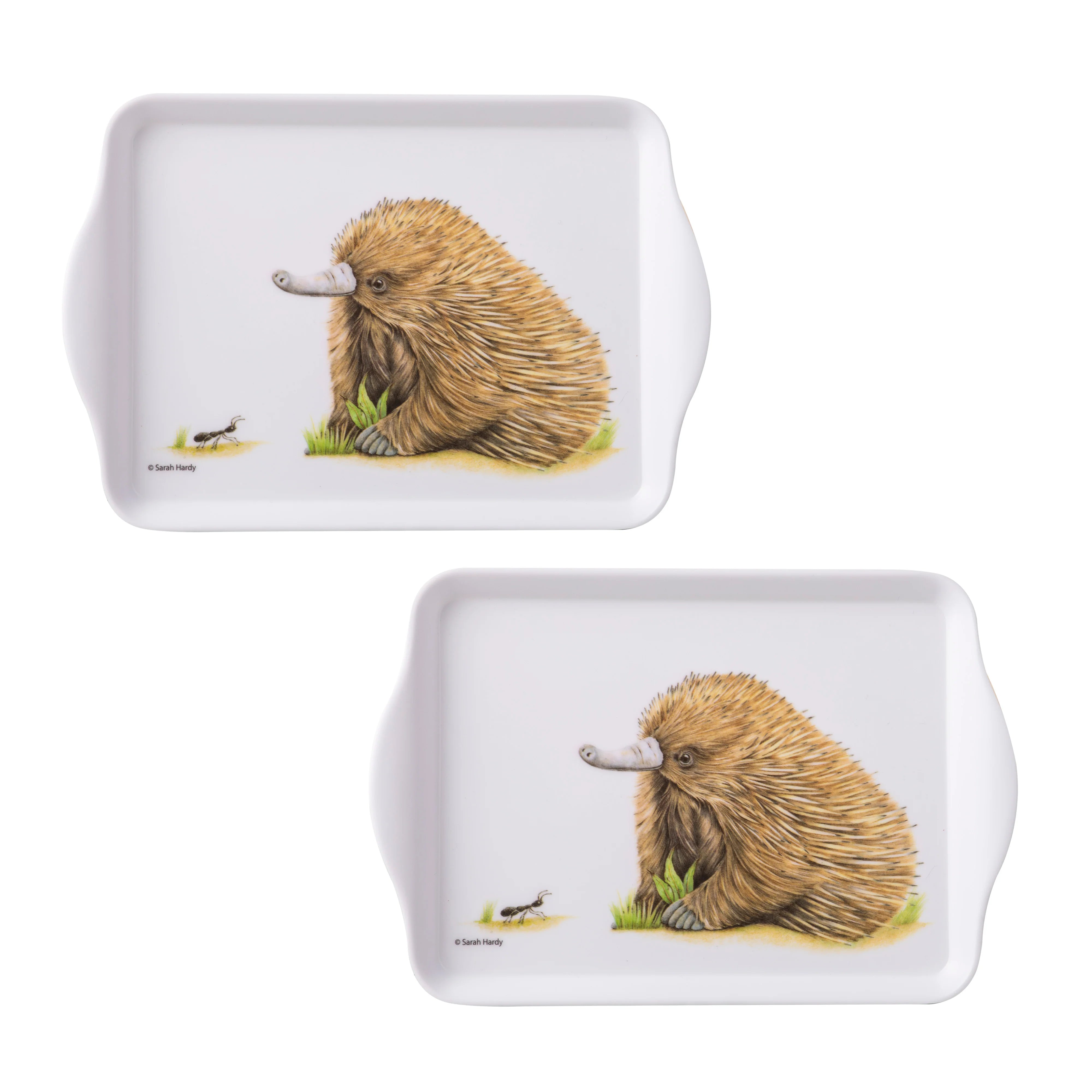 Bush Buddies Scatter Tray 2pk - Echidna