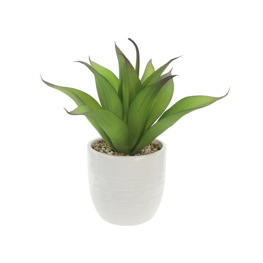 Hoyle Ceramic Potted Life-Like Aloe Plant - Pure Homewares