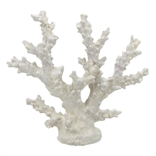 Chelsea Natural Coral Sculpture on Base - Pure Homewares