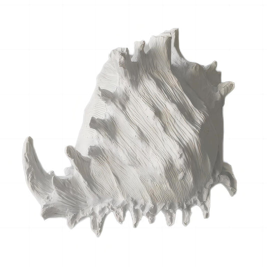Galilao Resin White Conch Shell - Deb's Hidden Treasures