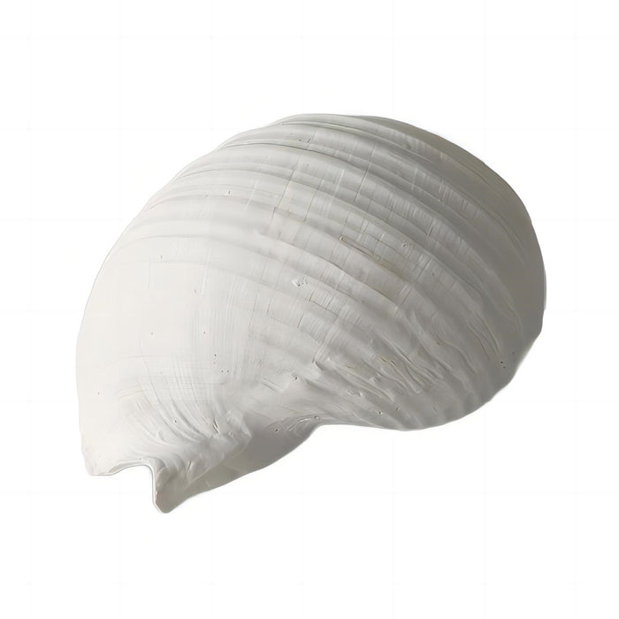 Galilao White Resin Snail Shell - Deb's Hidden Treasures
