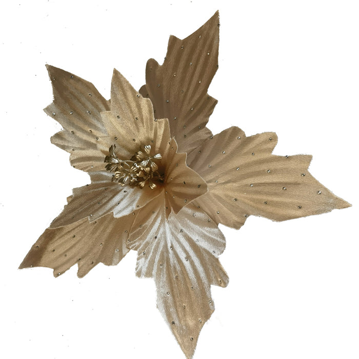 Clip-On Poinsettia - Champagne Crimple