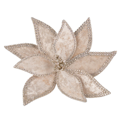 Clip-On Poinsettia - Champagne/Gold w/ Braided Edge