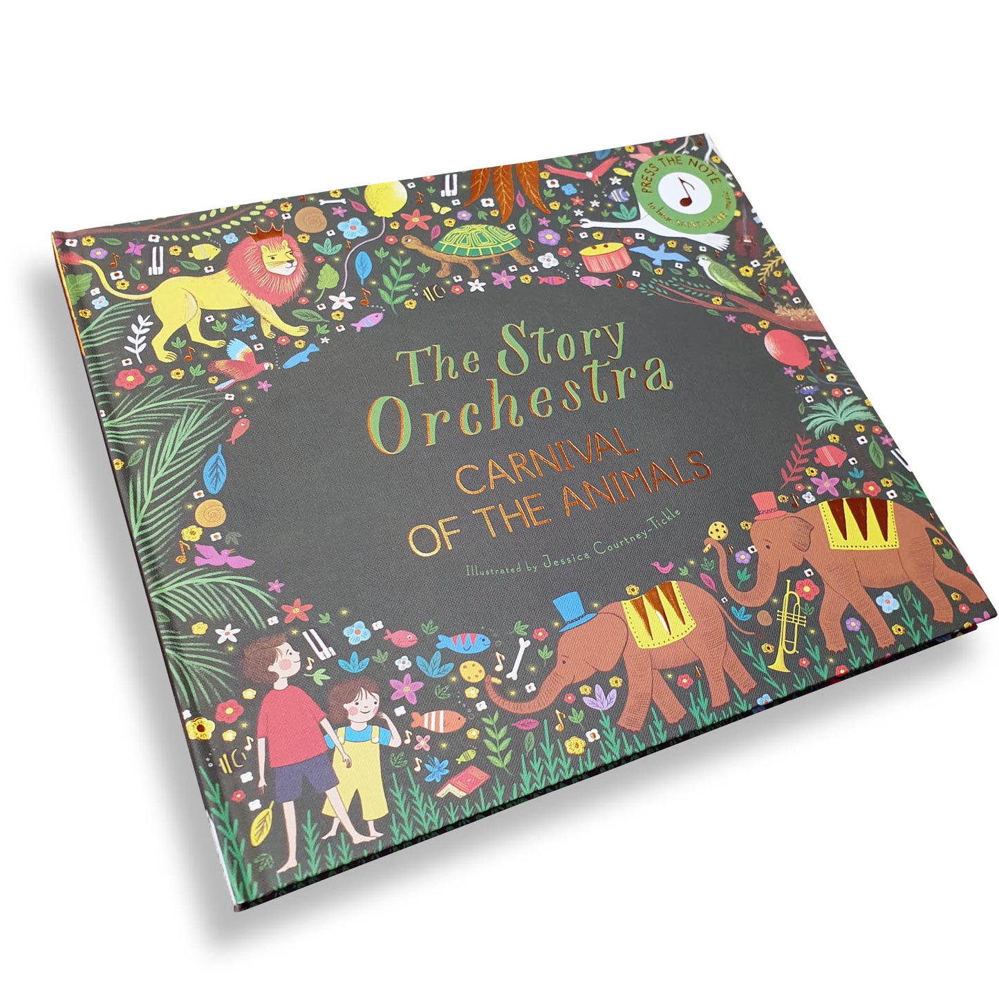 The Story Orchestra: Carnival of the Animals - Deb's Hidden Treasures