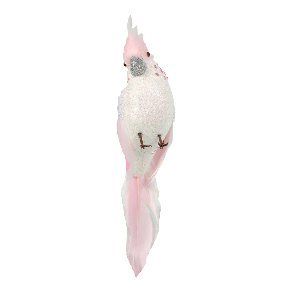 Candyfloss Pink Christmas Parrot