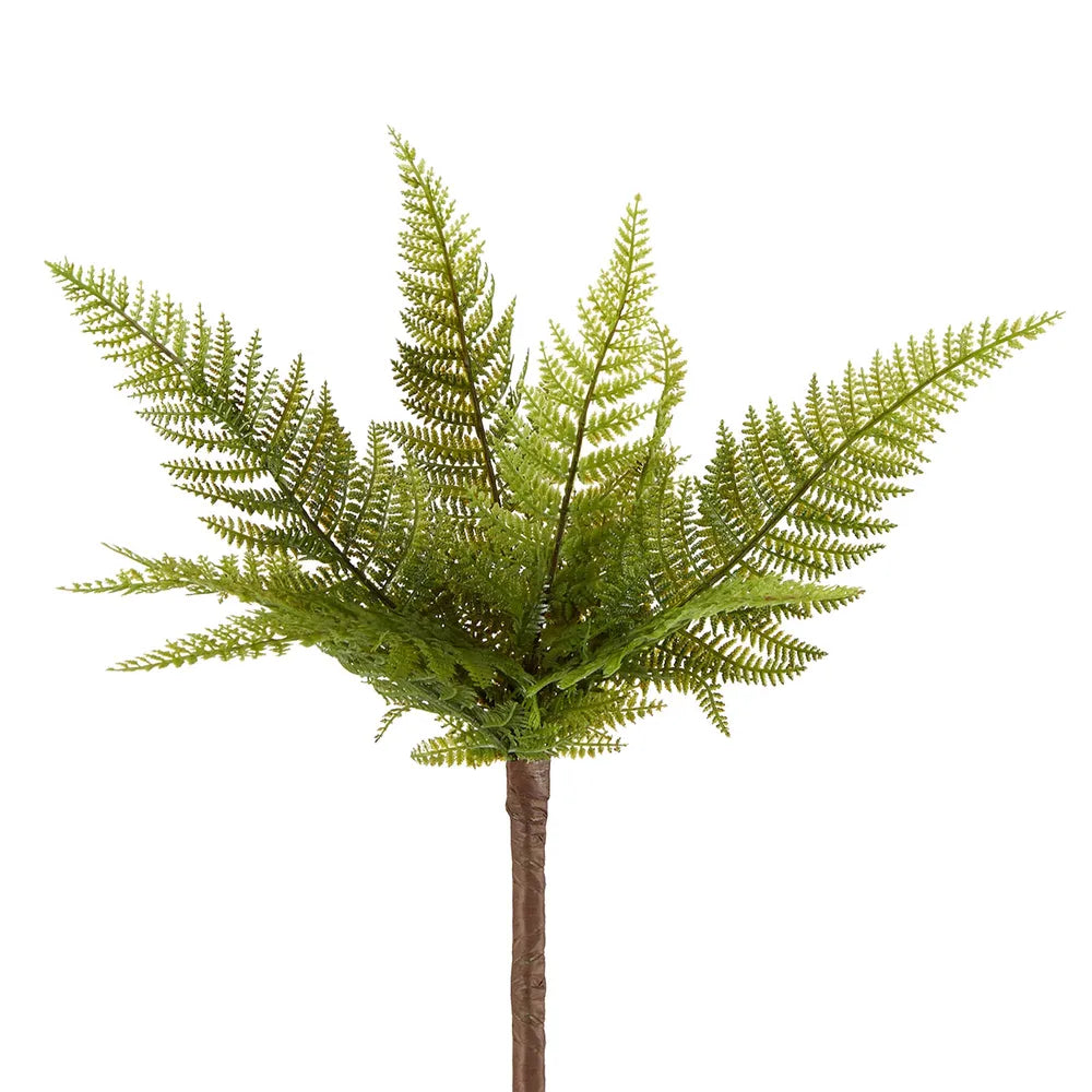 Small Native Fern 41cm - Florabelle Living