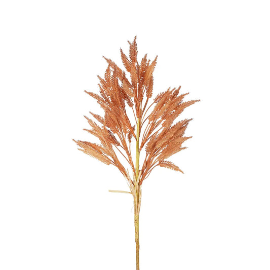 Wheat Stem 66cm Apricot - Florabelle Living