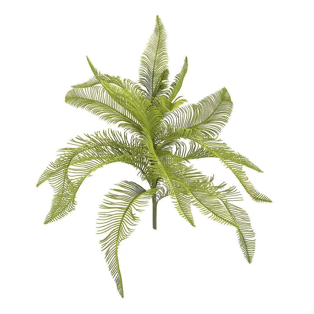 Fern Feather Bush 50cm - Florabelle Living