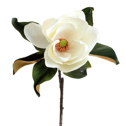 Magnolia 77cm White - Florabelle Living