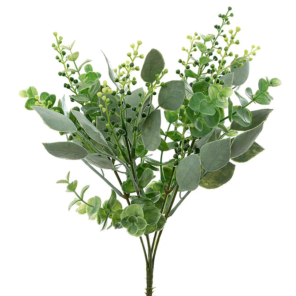 Eucalyptus Berry Bush 30cm - Florabelle Living