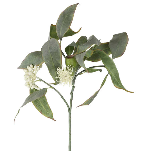 Eucalyptus Flower Spray 70cm - Florabelle Living