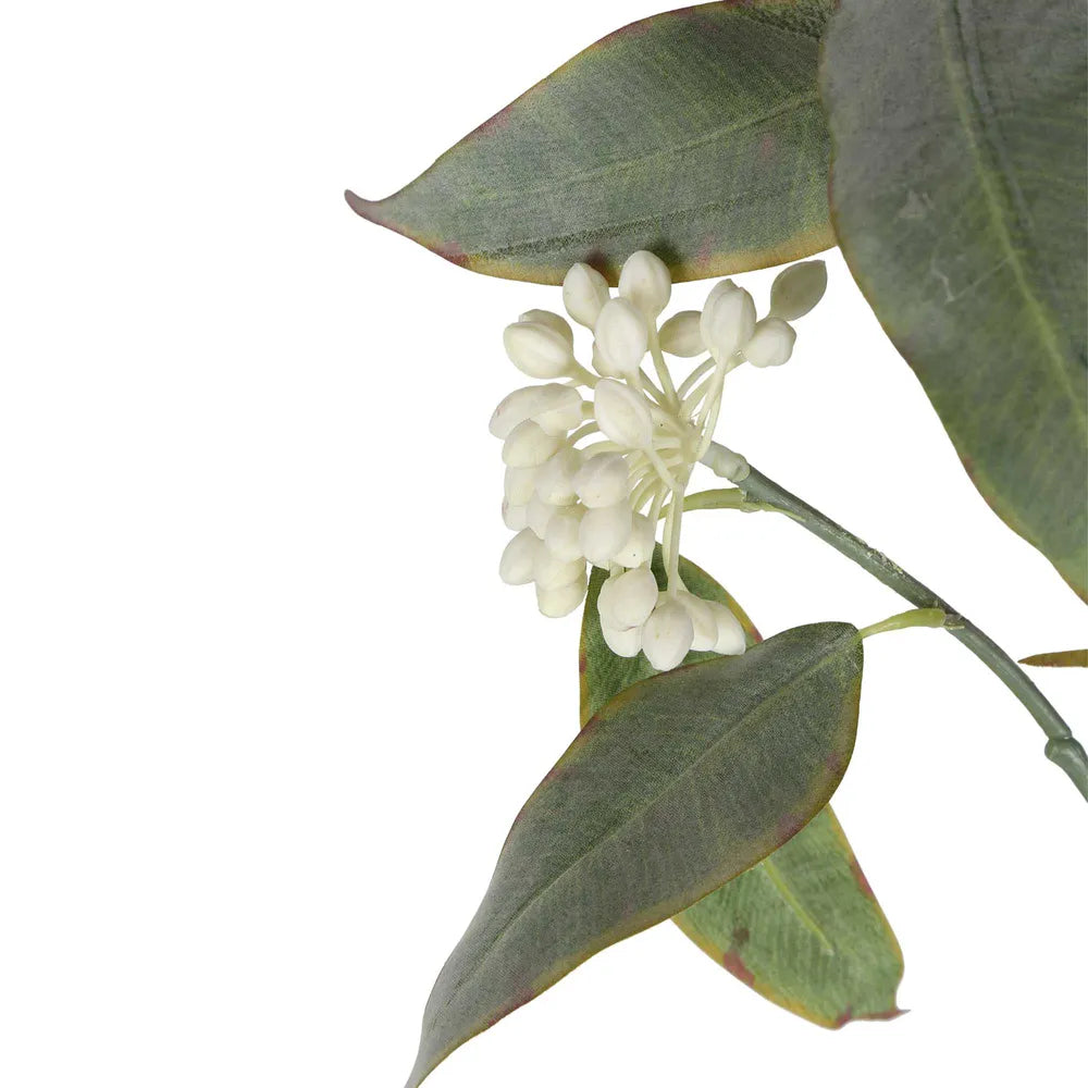 Eucalyptus Flower Spray 70cm - Florabelle Living