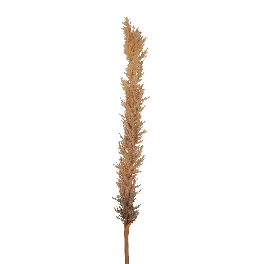 Dried Look Astilbe Spray 100cm - Brown - Florabelle Living