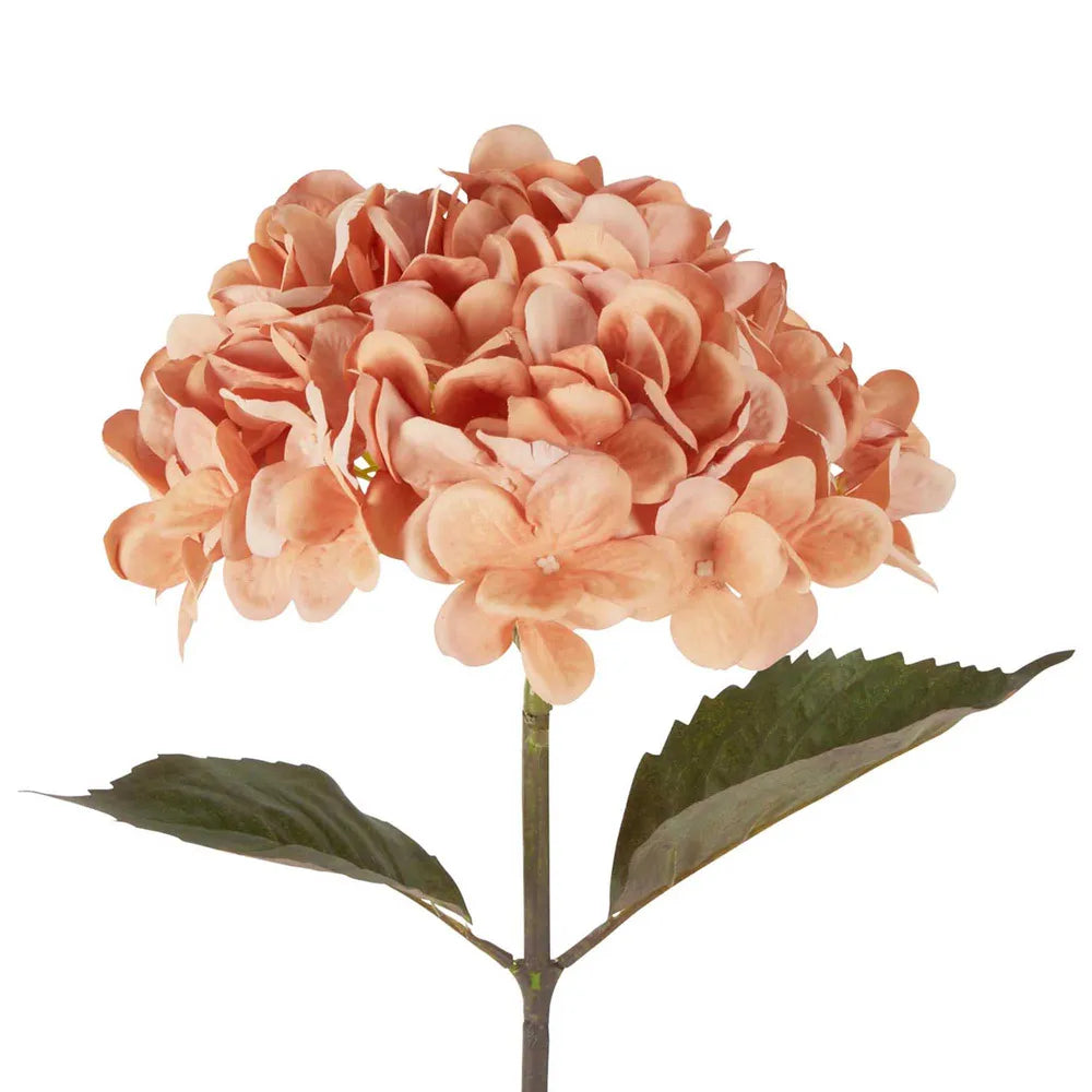 Dried Look Hydrangea Stem 48cm Apricot - Florabelle Living