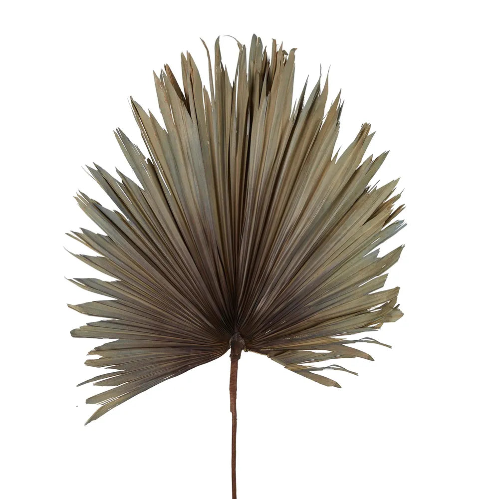 Preserved Palm Leaf Grey/Blue 114cm x 60cm - Florabelle Living