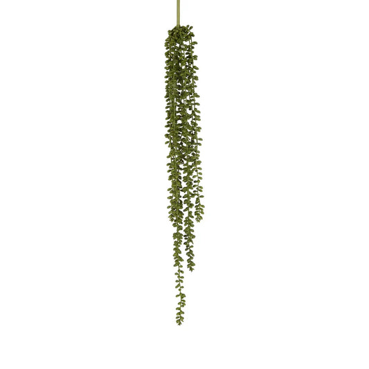 String of Pearls Stem - Florabelle Living