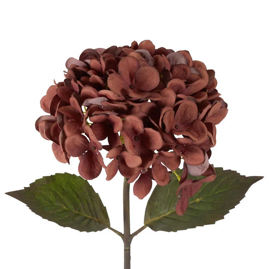 Dried Look Hydrangea Stem 48cm Brown - Florabelle Living