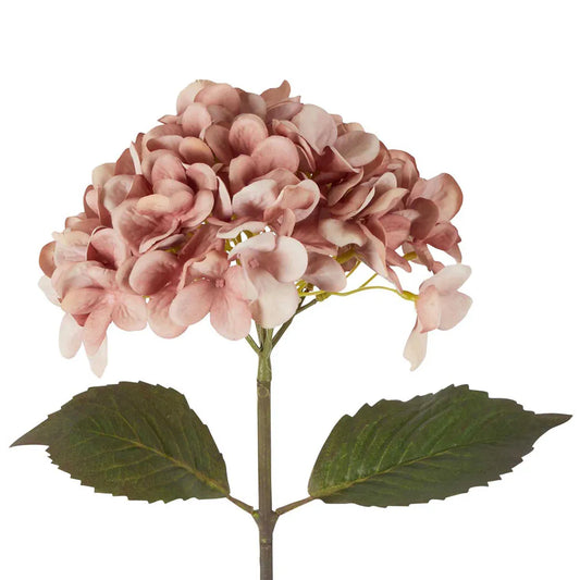 Dried Look Hydrangea Stem 48cm Blush - Florabelle Living