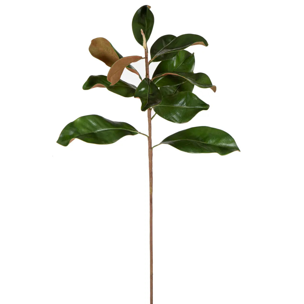 Magnolia Leaves Small Green 85cm - Florabelle Living