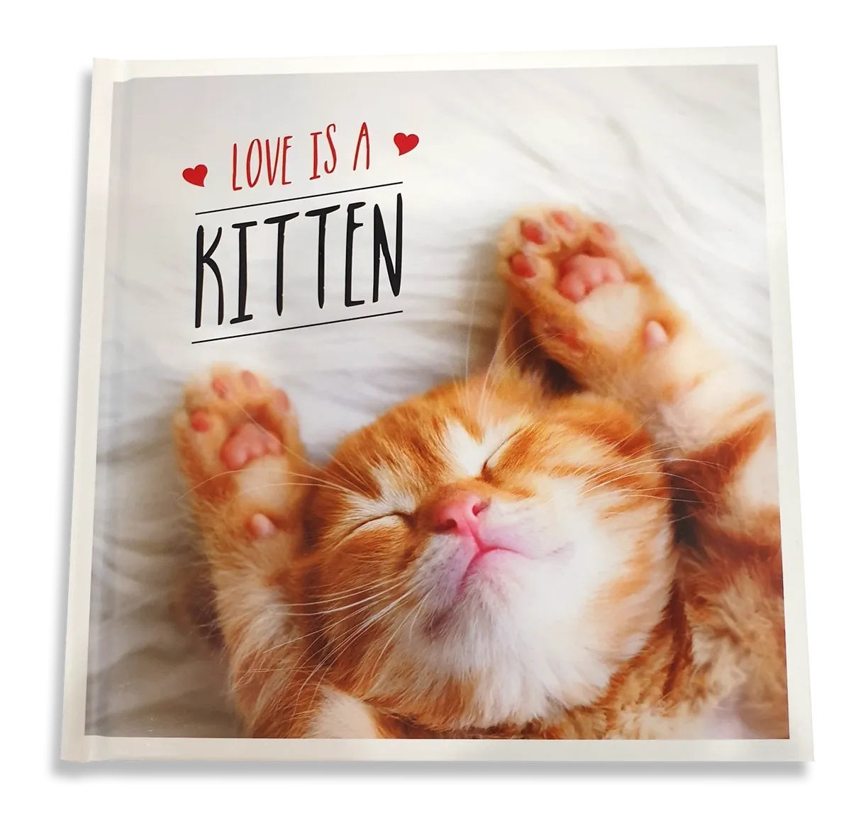 Love is a Kitten: A Cat-Tastic Celebration of the World's Cutest Kittens - Deb's Hidden Treasures