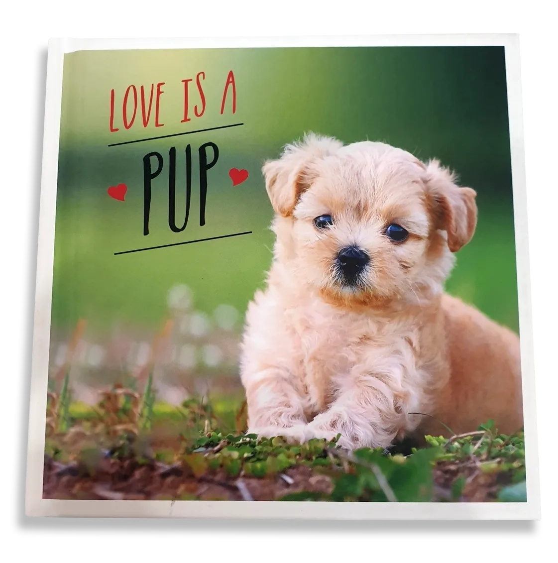 Love is a Pup: A Dog-Tastic Celebration of the World's Cutest Puppies - Deb's Hidden Treasures